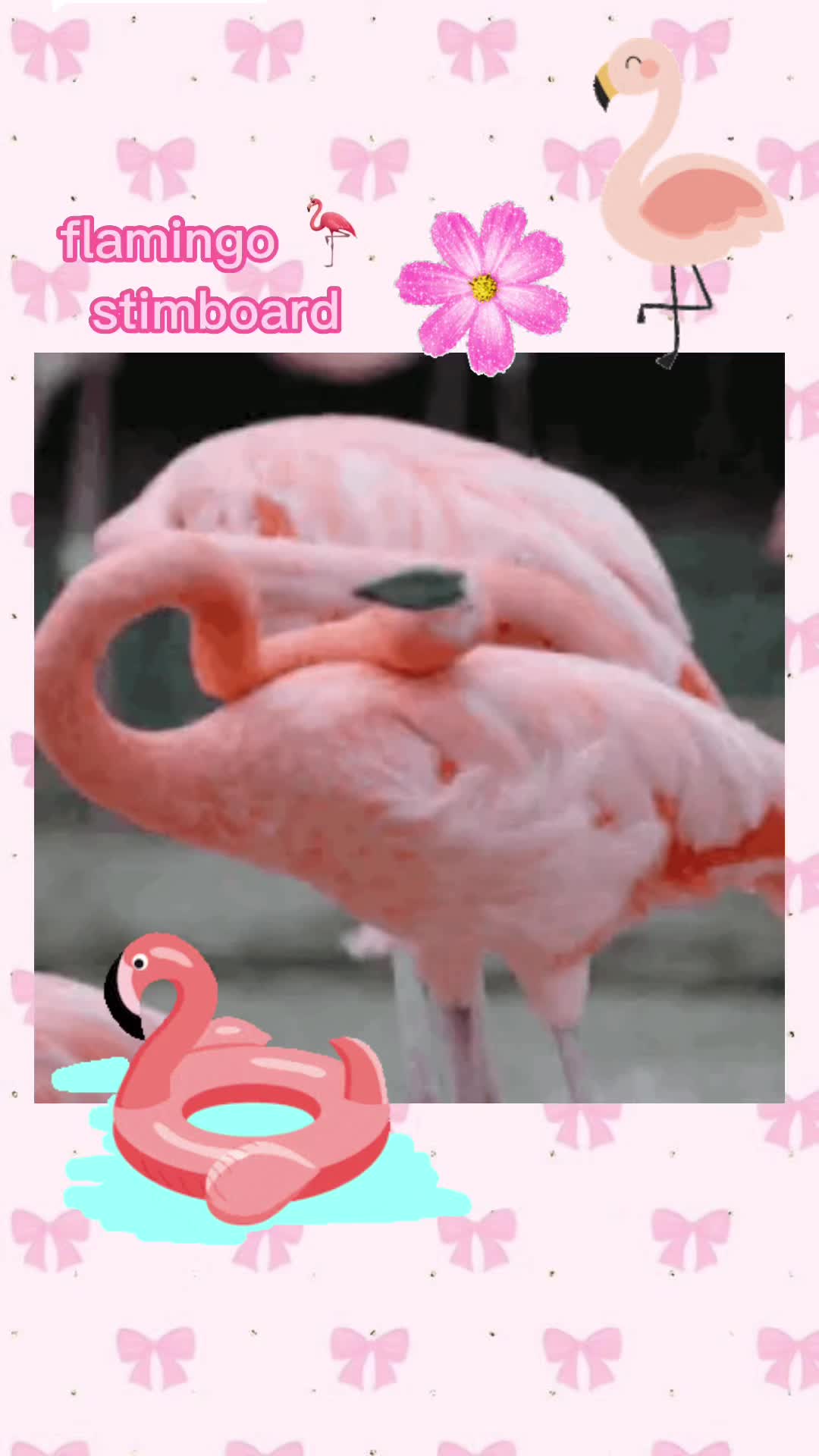 @🍥🌷 alois