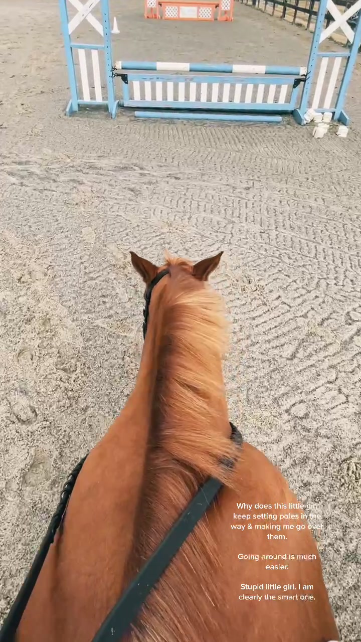@Chunky Pony