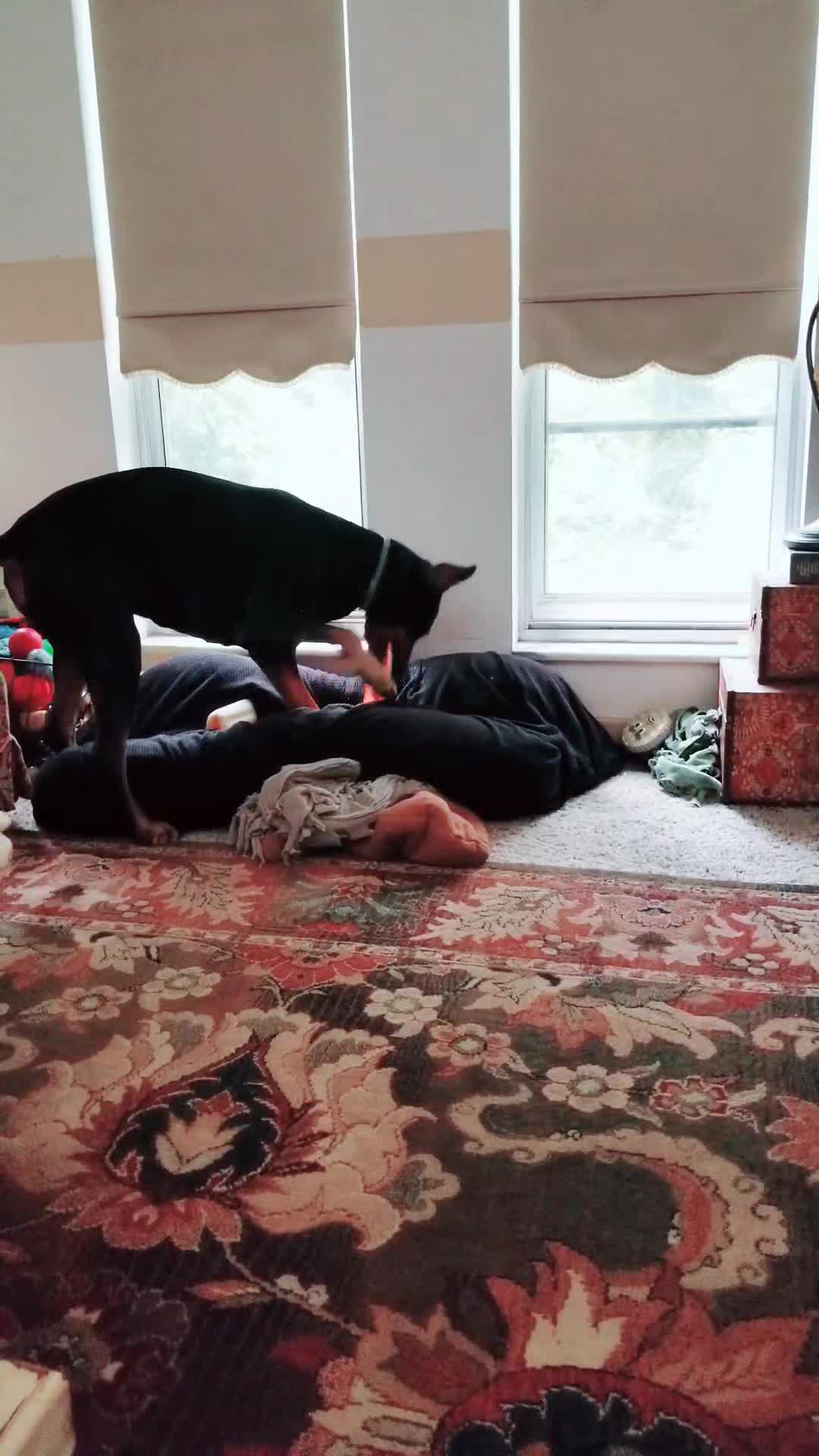 @bethellyn2