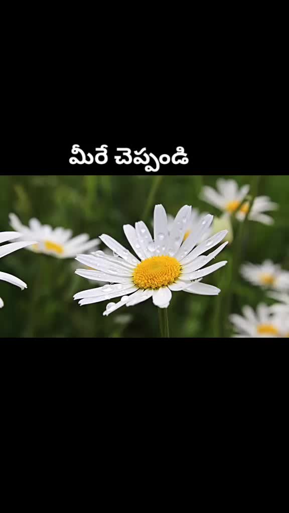 @వెంకీ