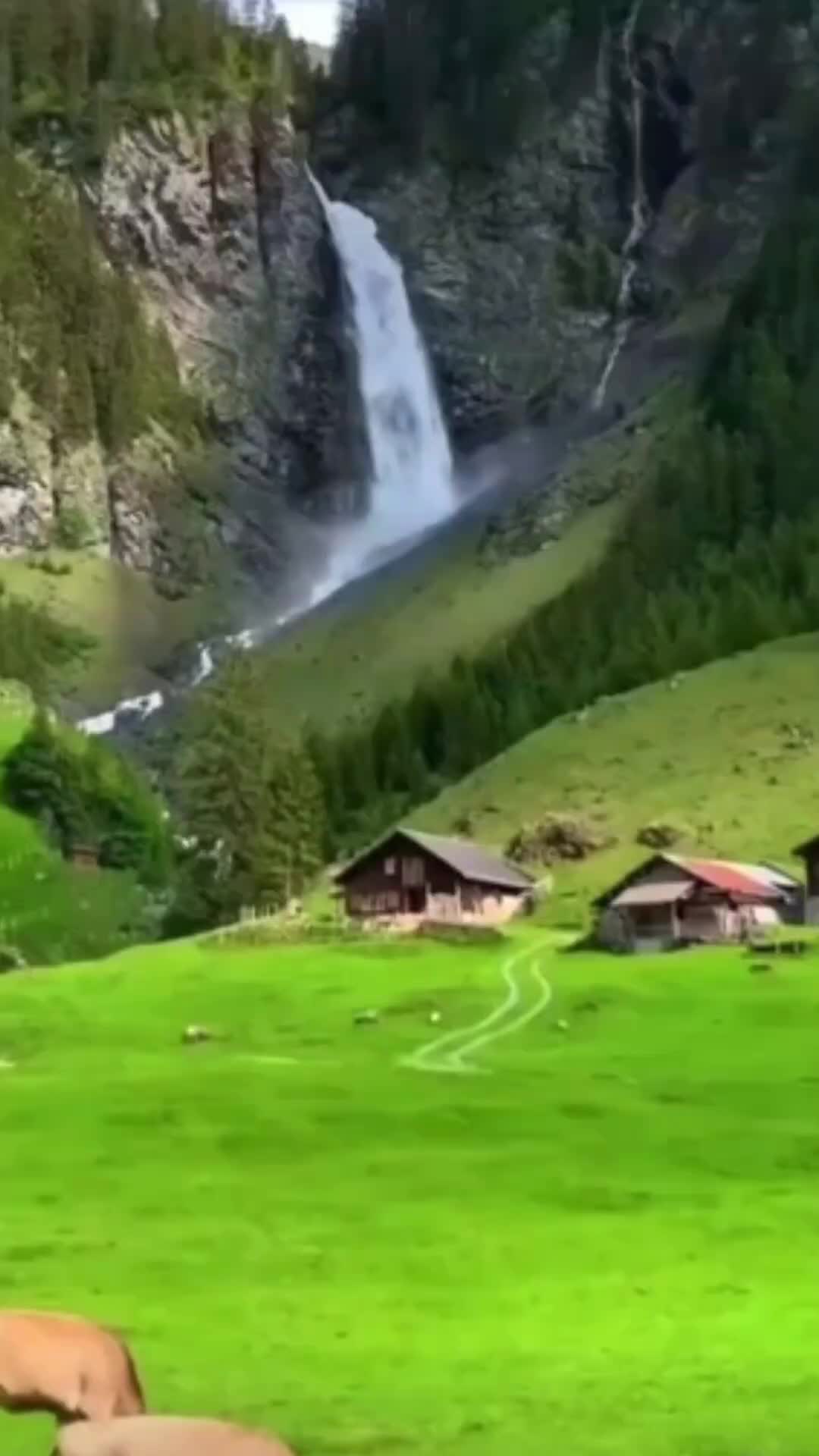 @Hafeeza_100