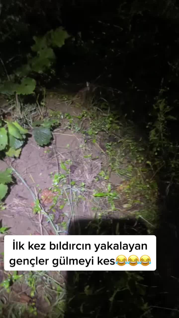 @6ertan1