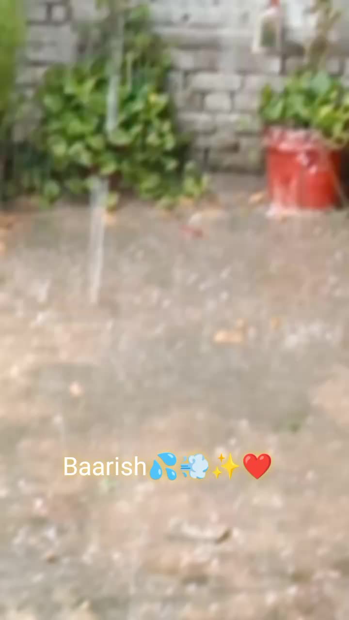 @Zidiiaries