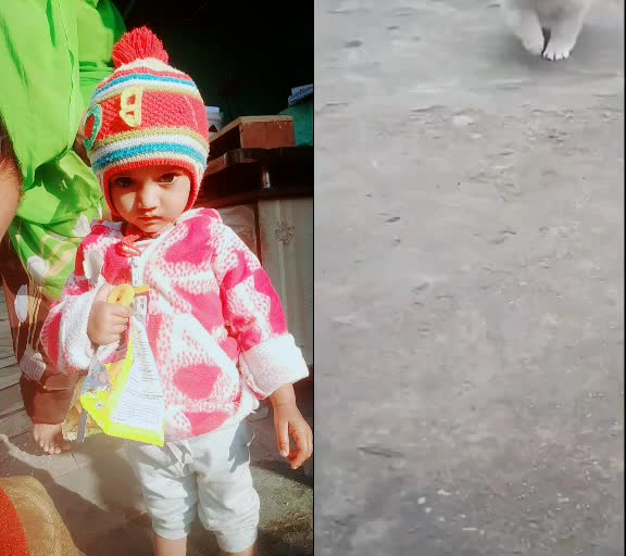 @Alkesh Raj