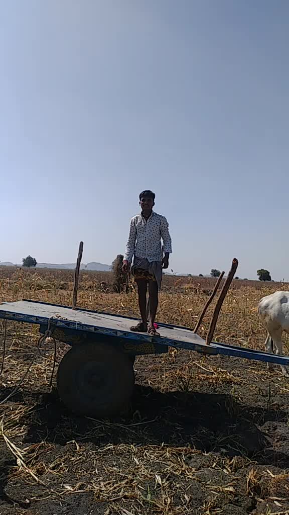 @user2406440361082