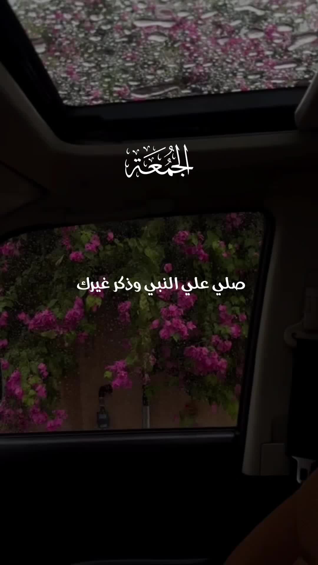 @ألا بذكر الله تطمئن القلوب 🤍