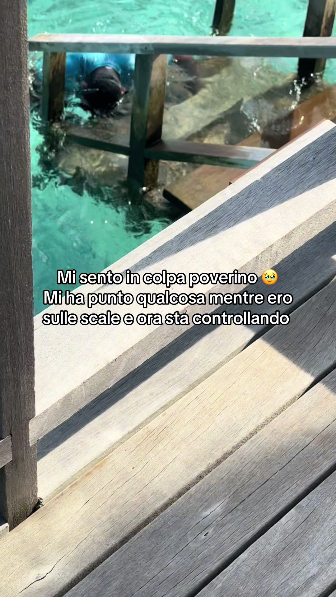 @Elisabetta|โ๏ธ๐ง ๐ฉ๐ป๐ป