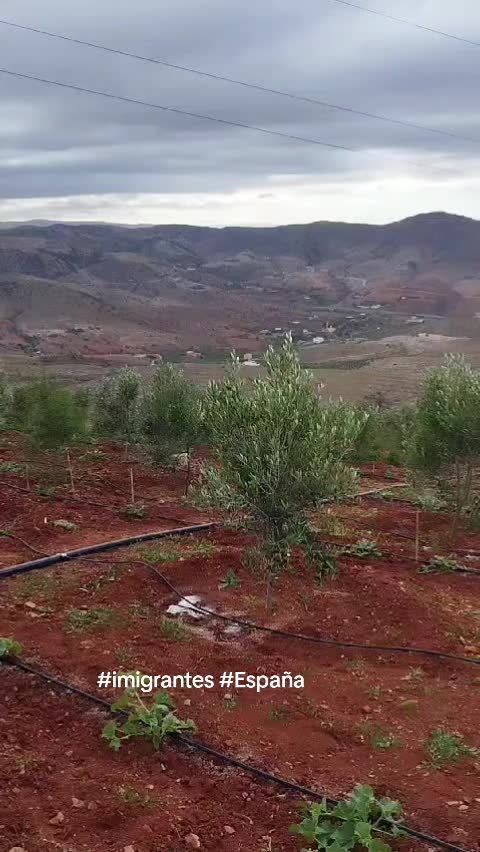 @Morad Málaga