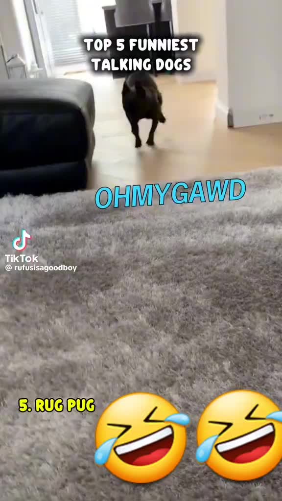 @shaneice