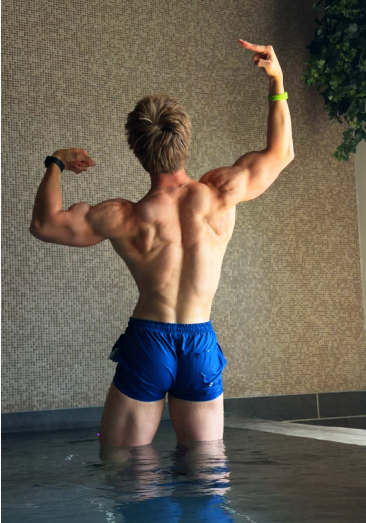 @Thefitnessnerd