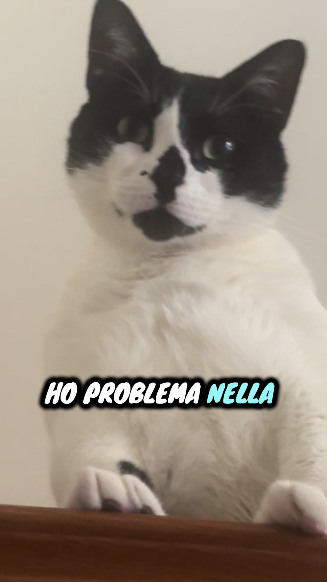 @Lallaspank