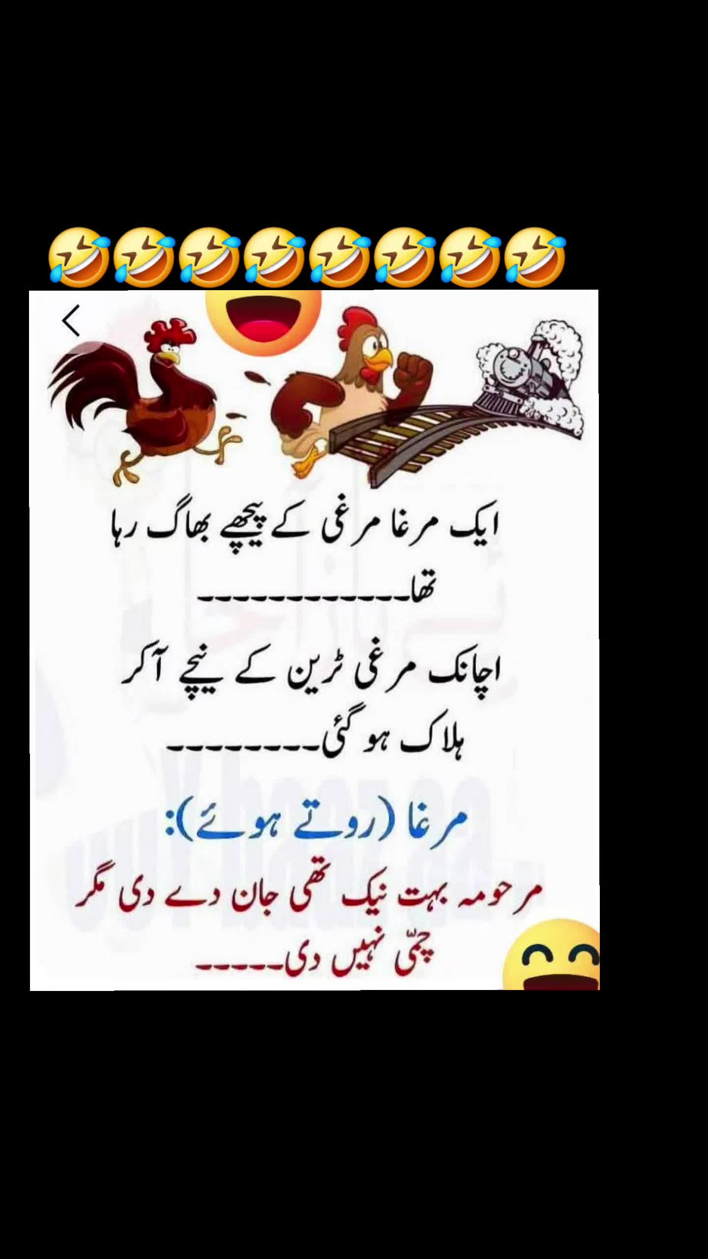 @🌹MeEm jEe SHeIkH میم جی 🌹Uk