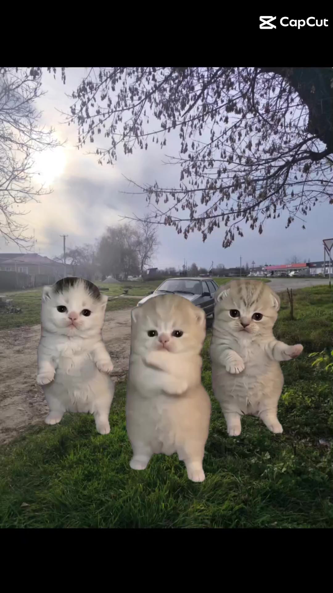 @doshirak 💦
