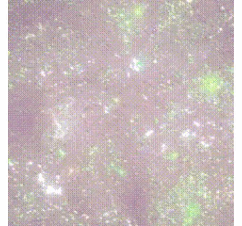 @𝒾𝓏𝓏𝓎🪽