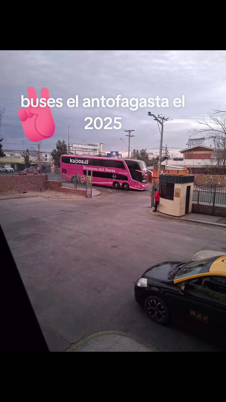 @Busología renato 😎