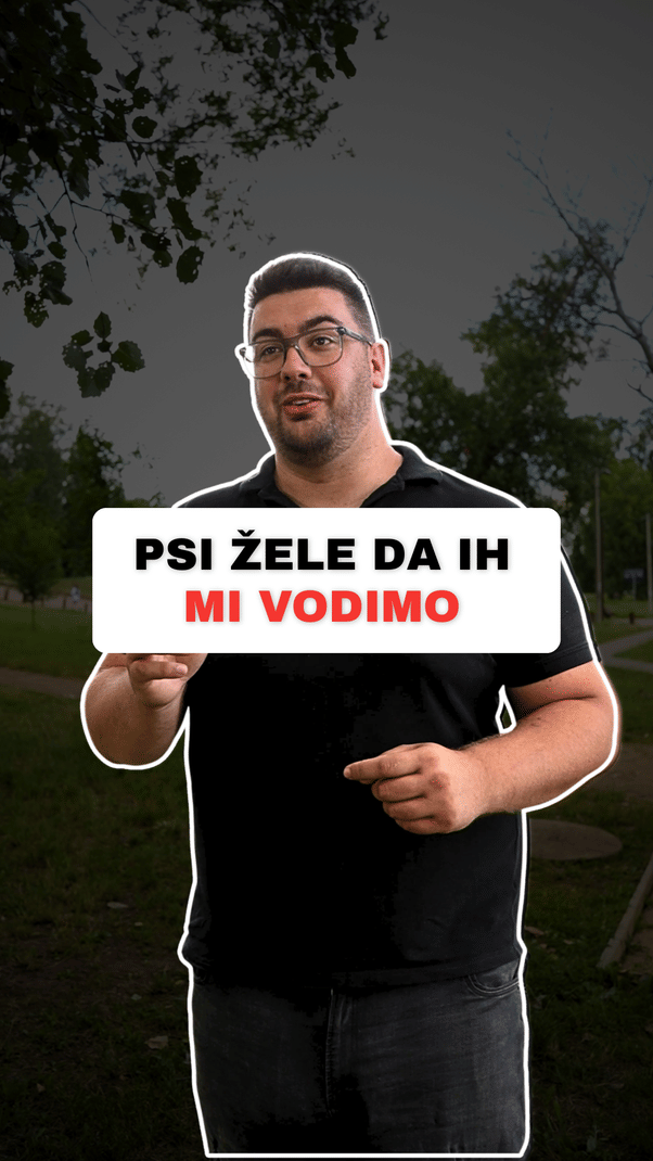 @superdog.akademija