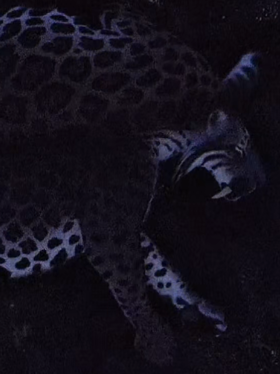@ʟᴜᴅᴡɪɢ
