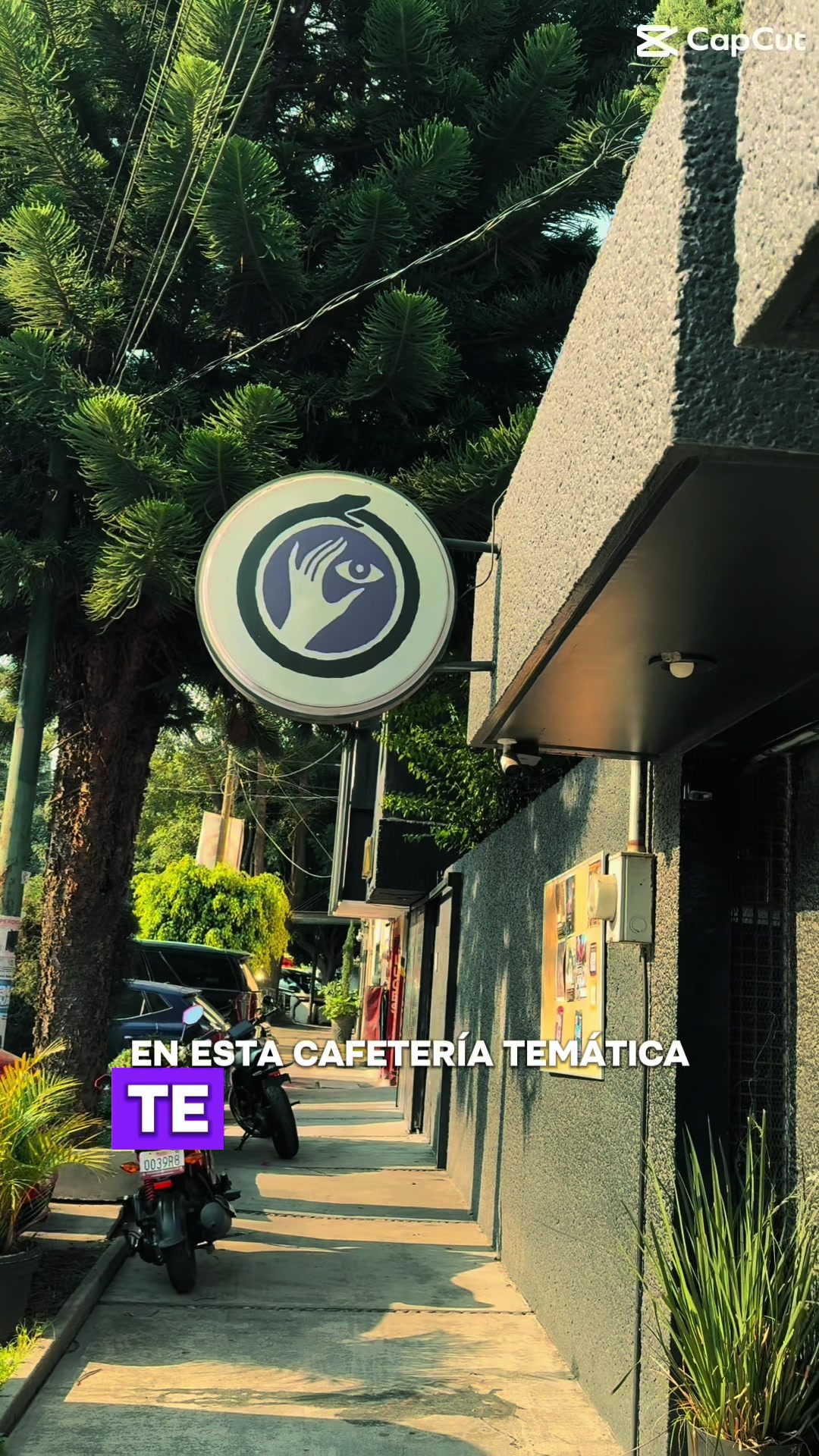 @CafesTematicosCDMX