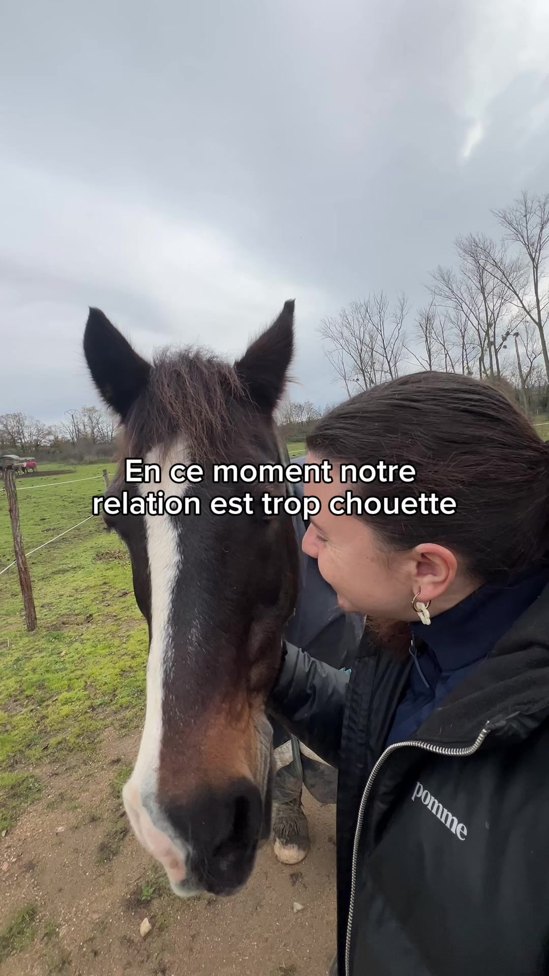 @Seren the pony 🐴