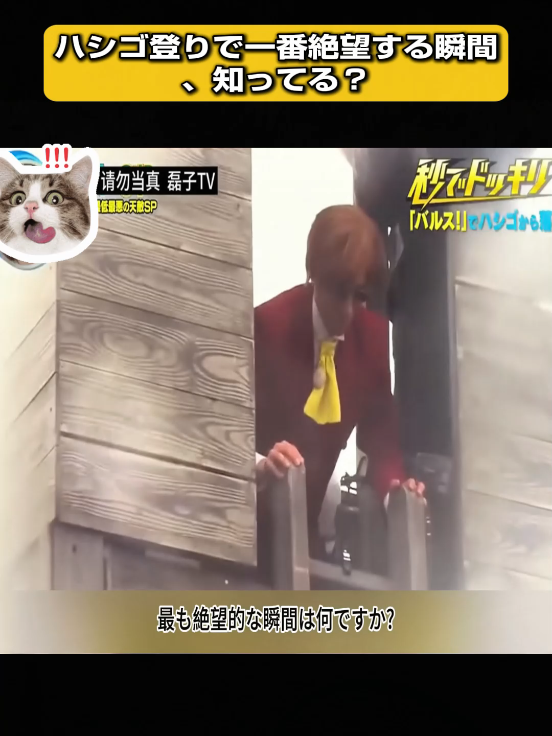 @ソラタビの泉：謎と雑学の探検隊
