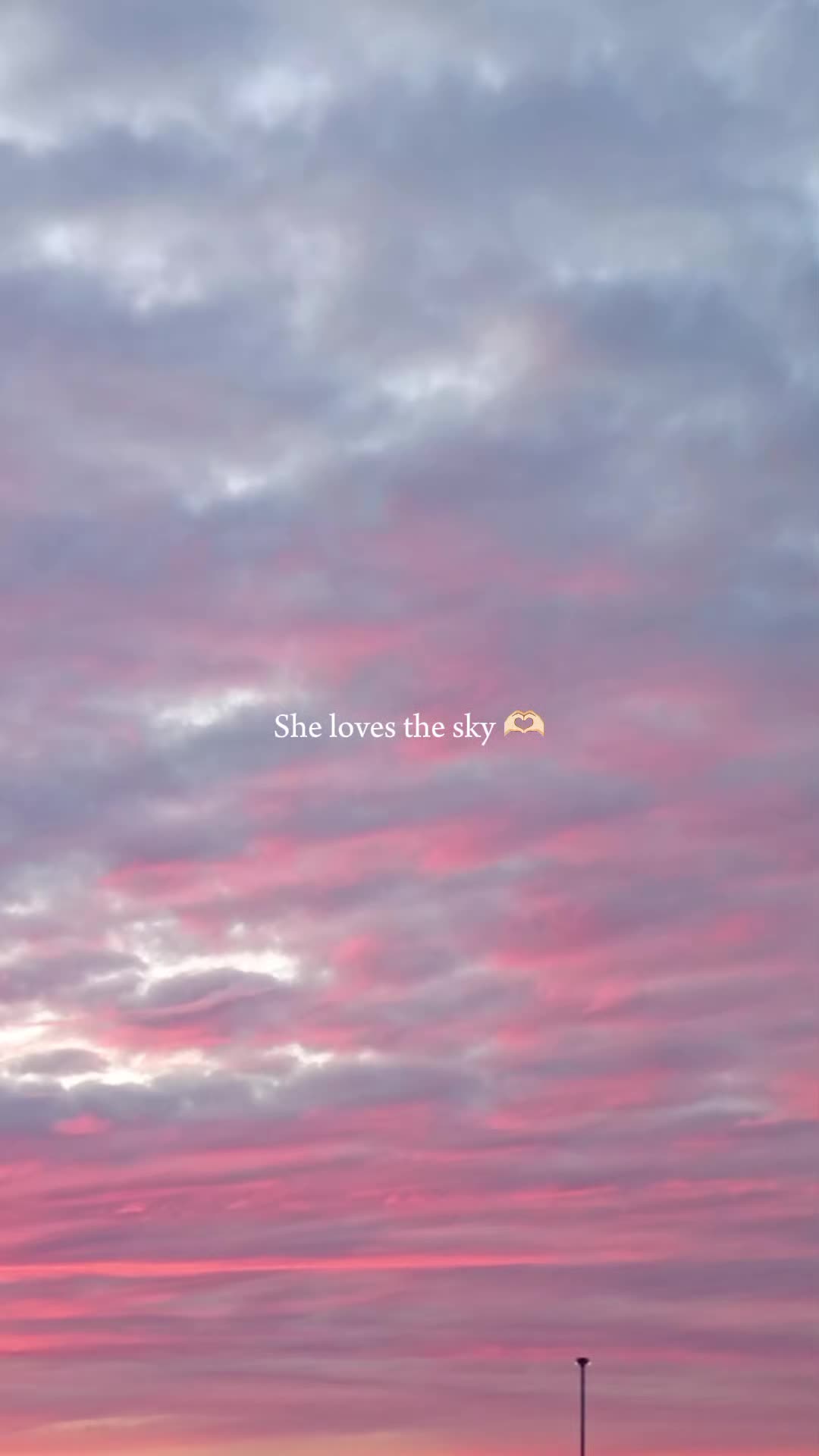 @marinette🐞