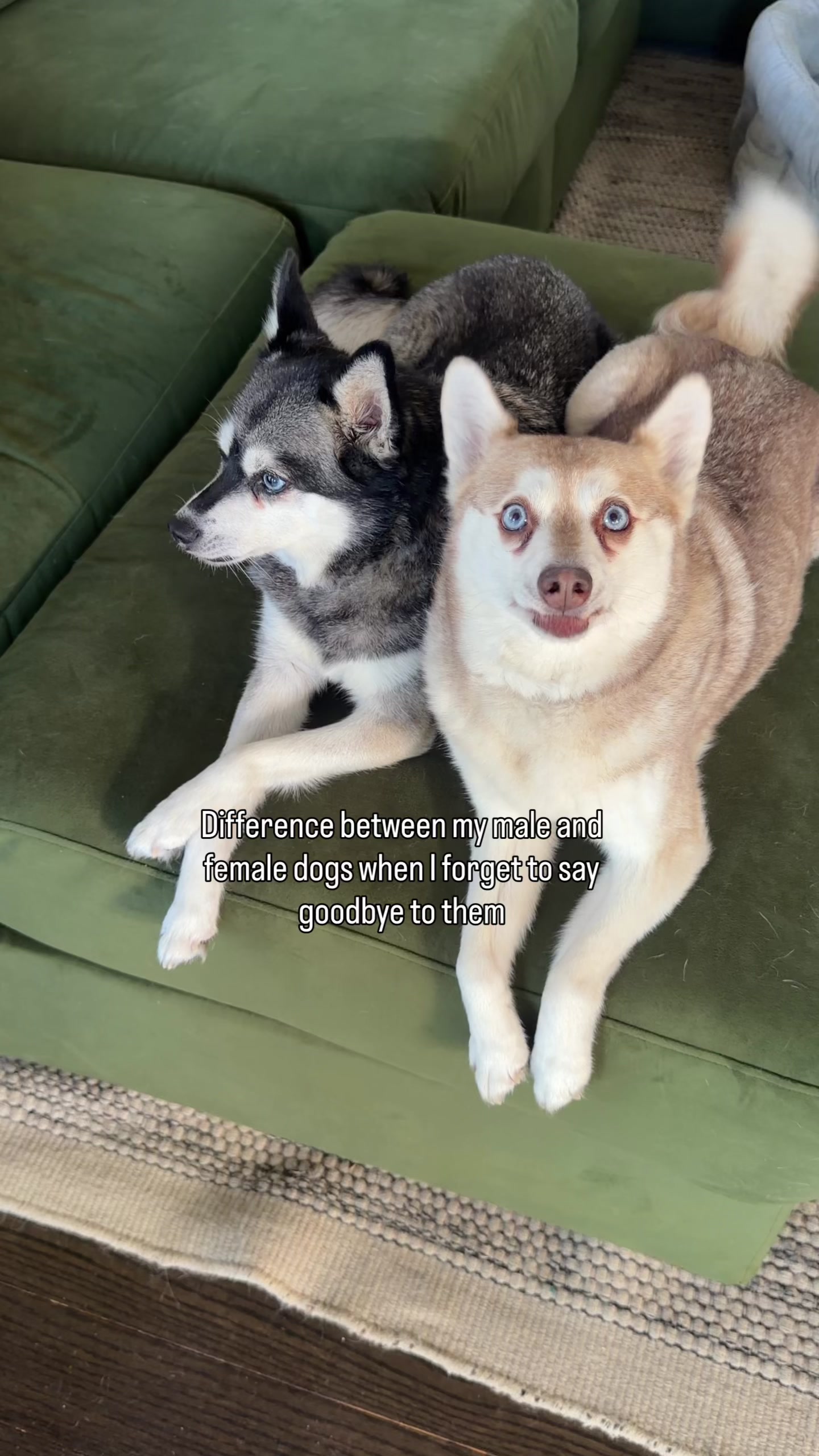 @lifewithkleekai