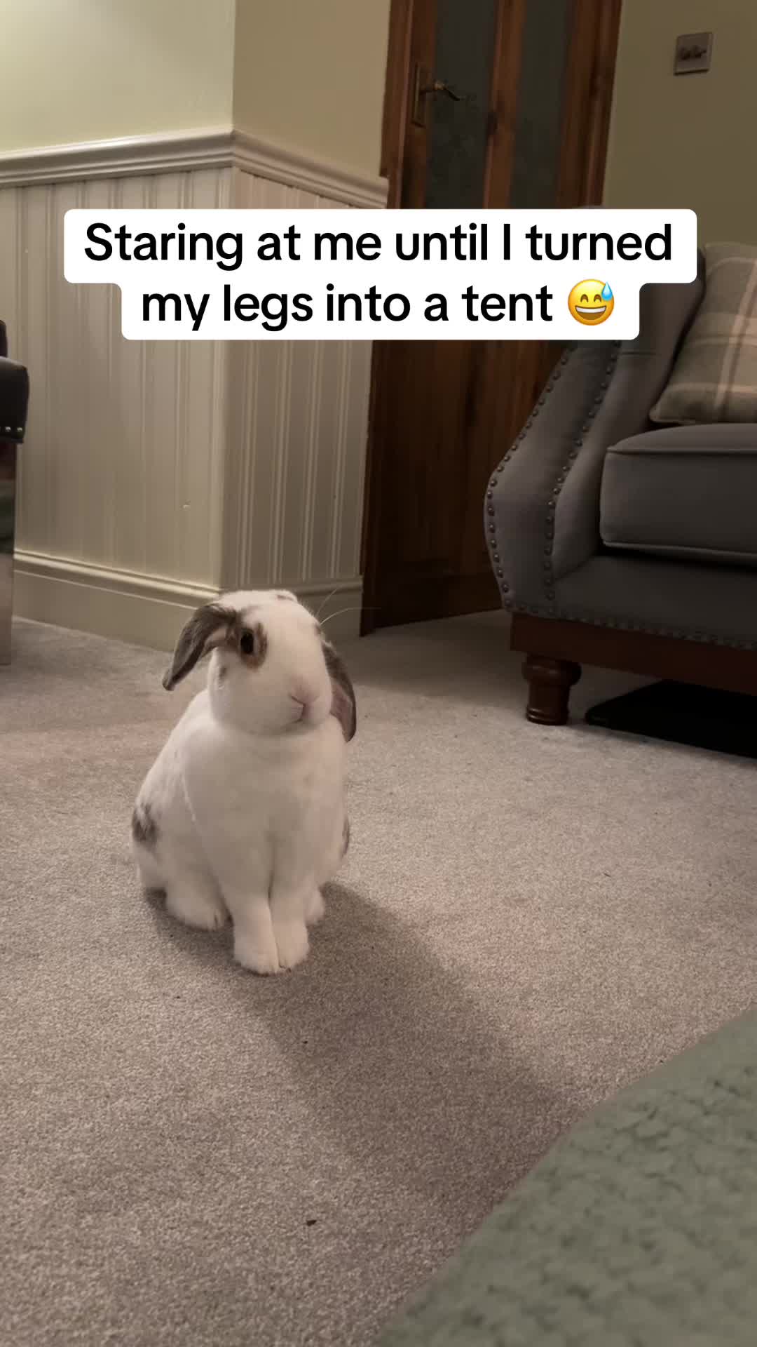 @Bun, two, three, four