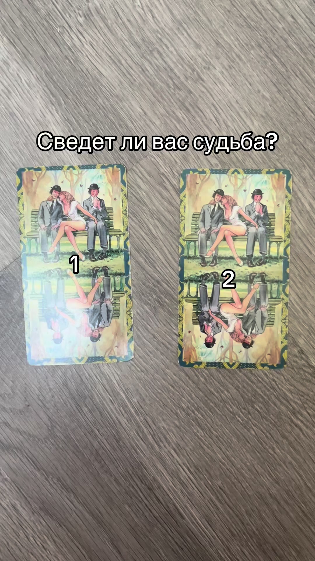 @taromipoda