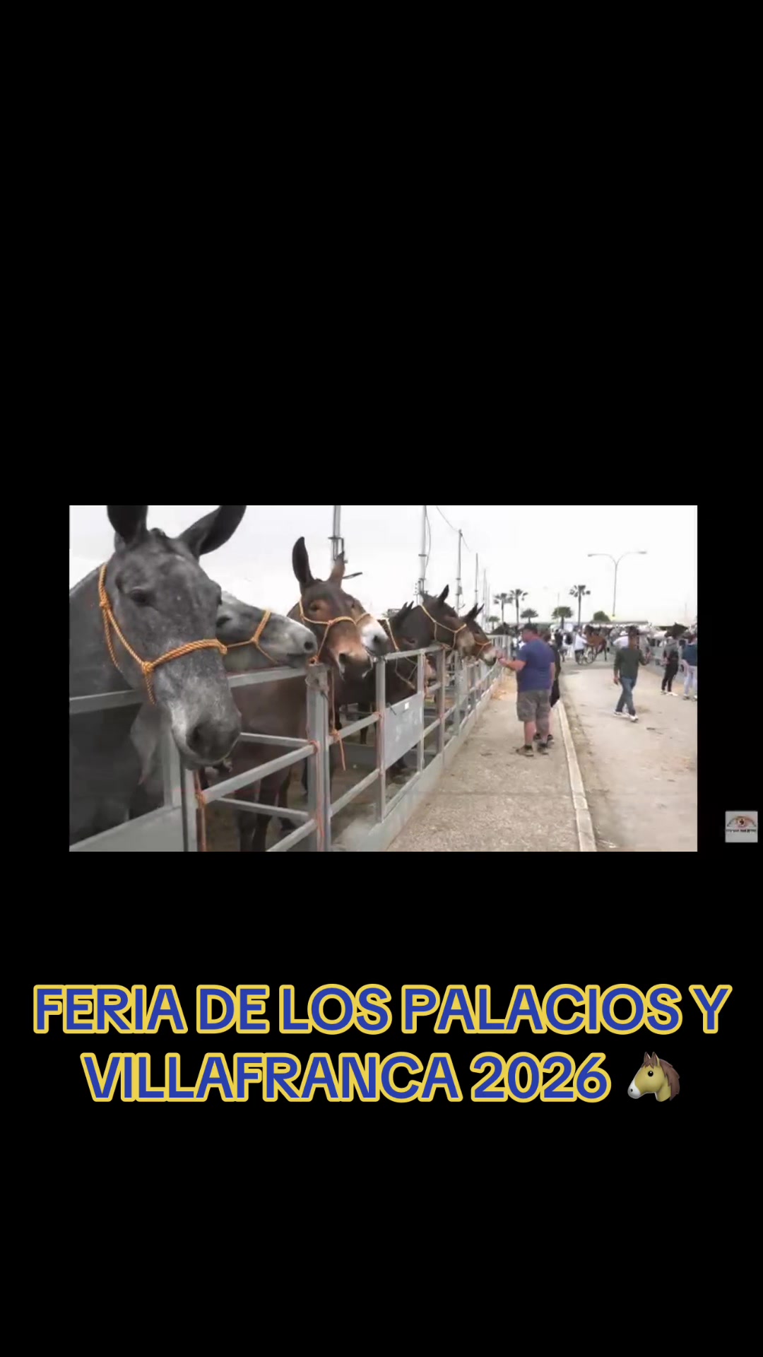 @Antonio Duran Perez