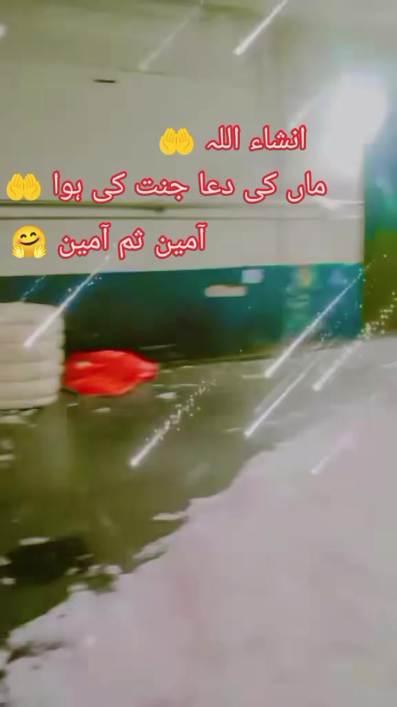 @Ali🌺ن ا دان 🌺لڑکا🌺Ali