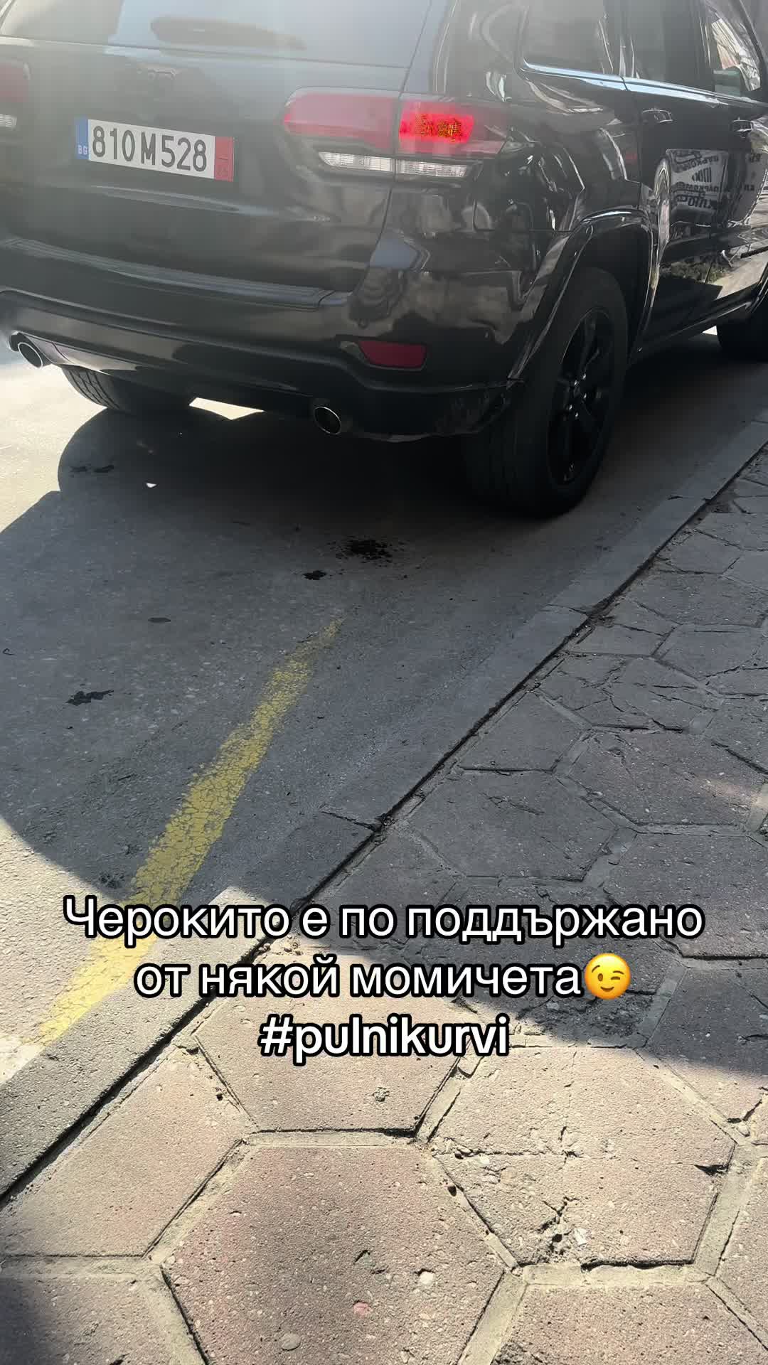 @777.ibraximcho.777
