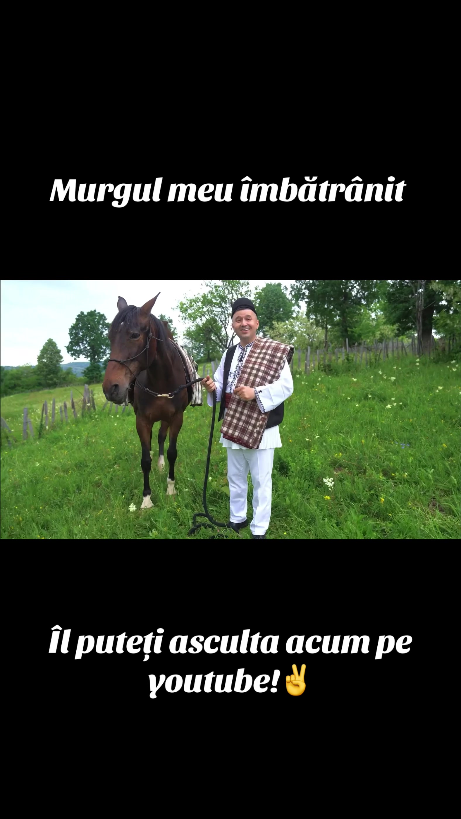 @Marius Tugulescu