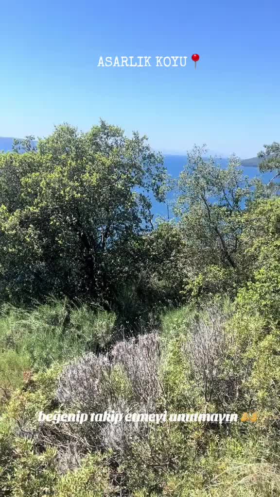 @yol &ccedil;ağırıyor