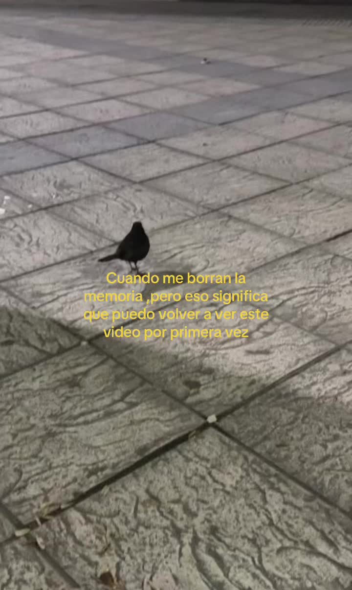 @𝙹𝚘𝚜𝚜𝚜𝚡𝚛𝟼