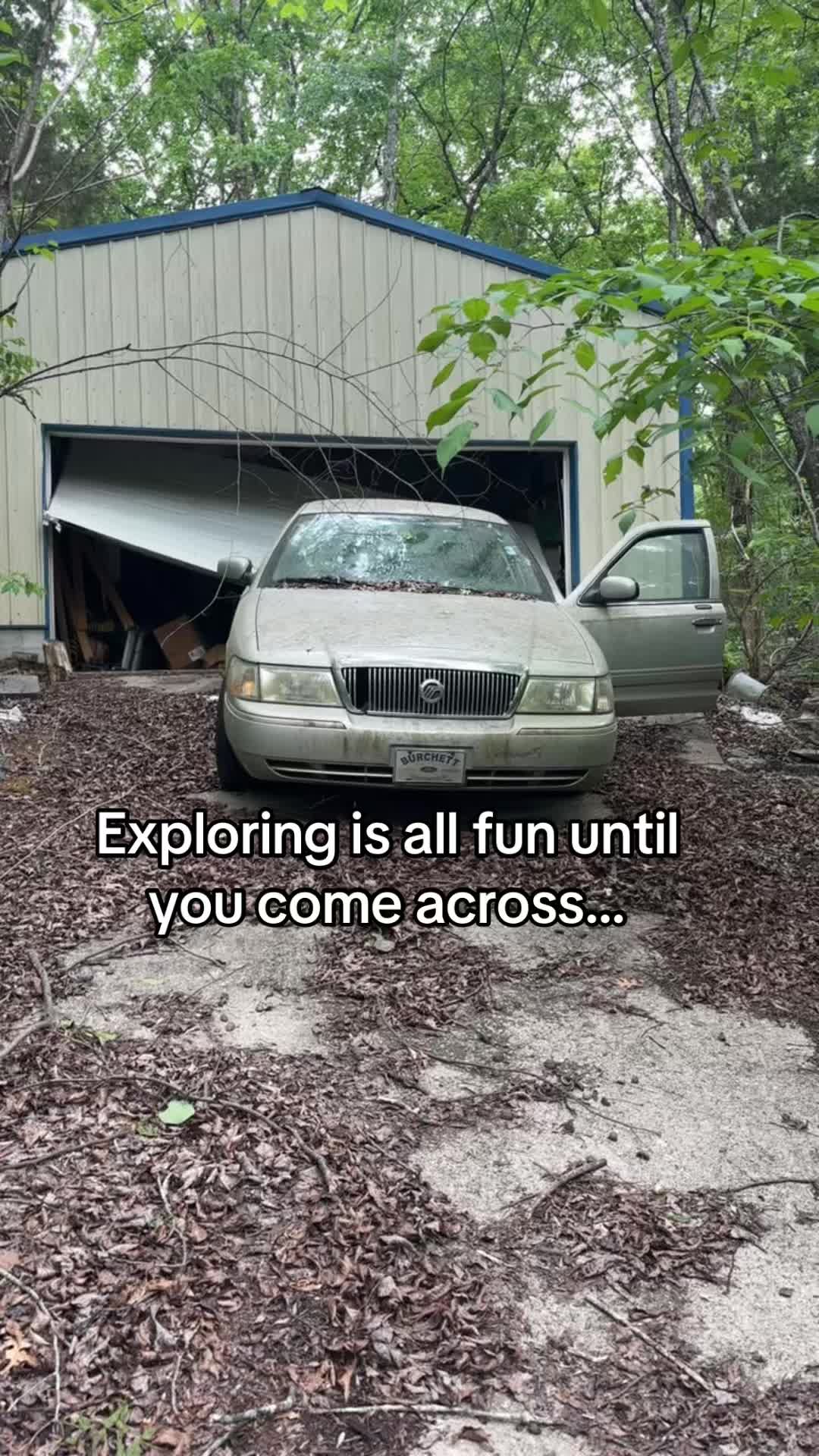 @Mystery_Seekers