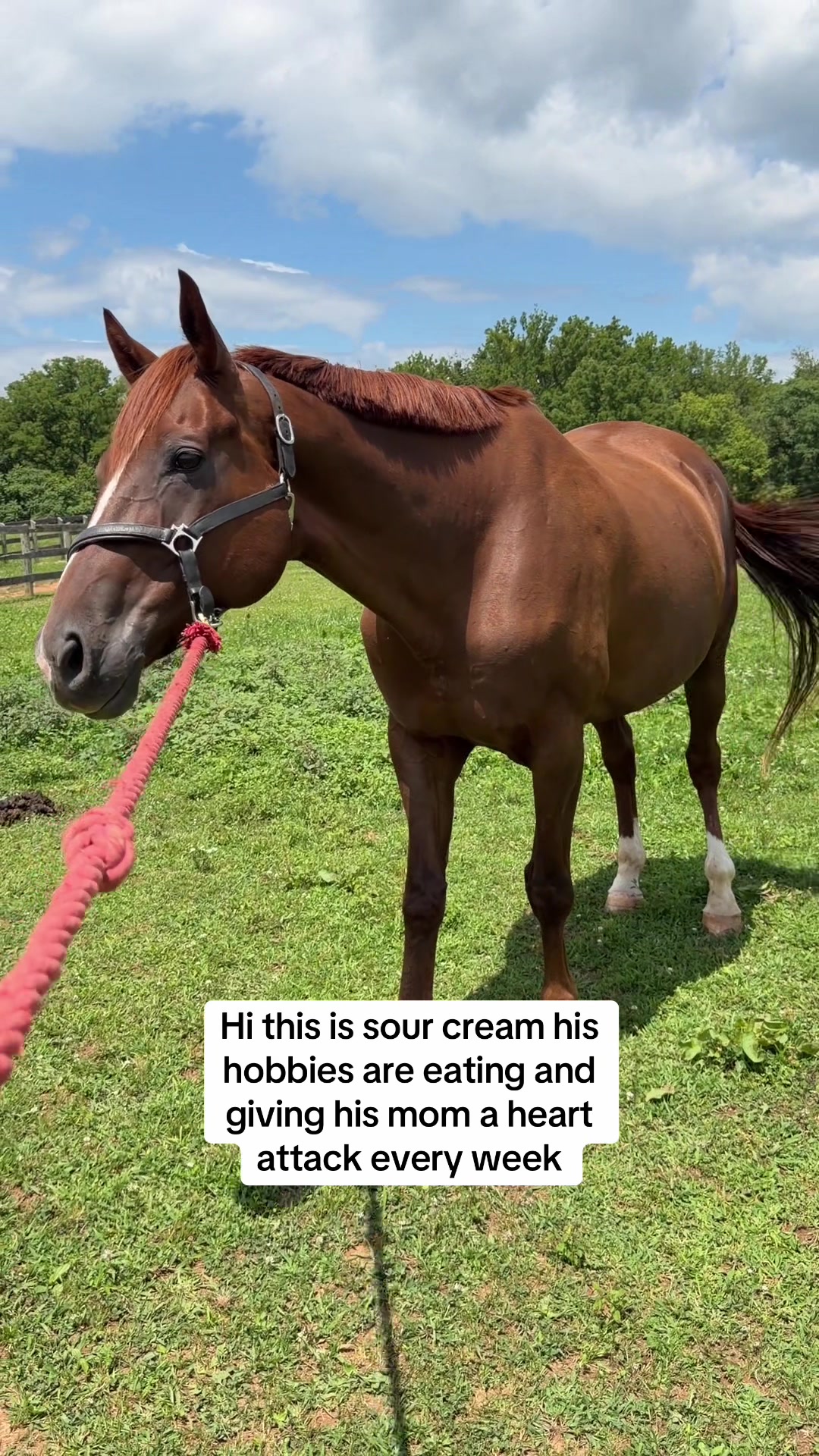 @😛