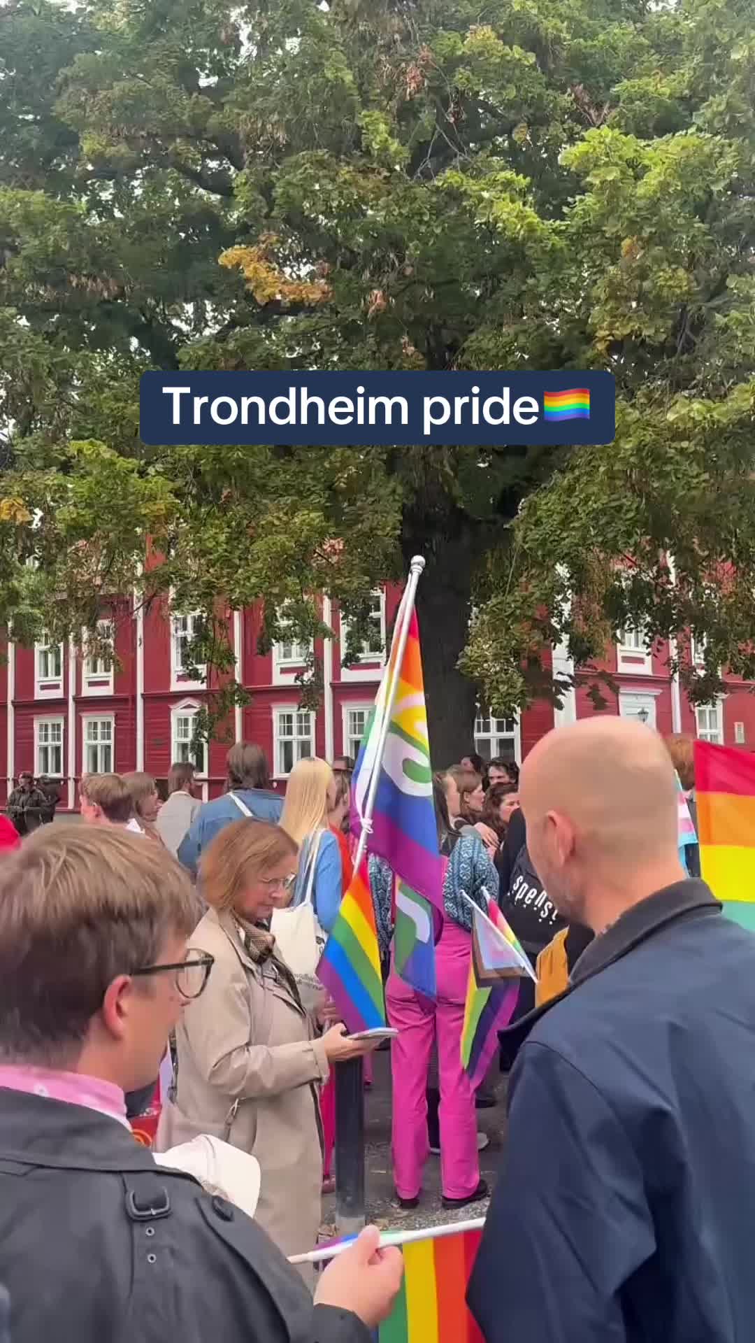 @Barnehagelærerstudenten