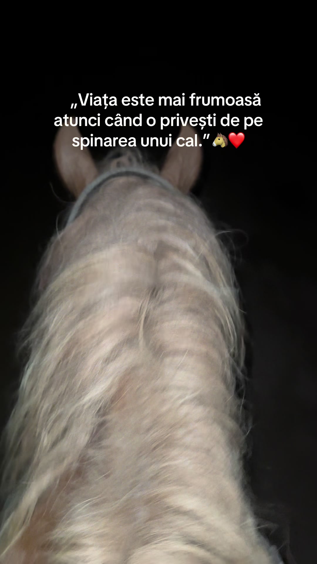 @Andrada❤️💫