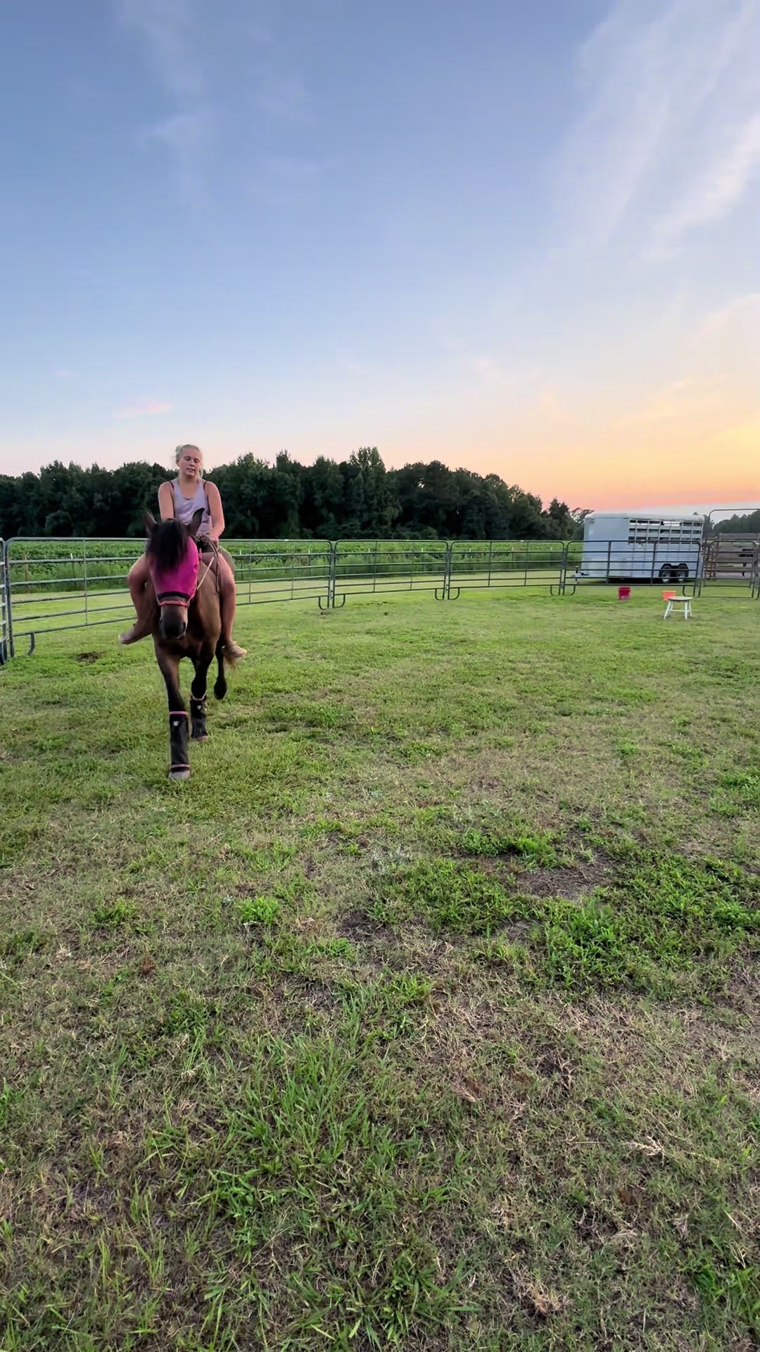 @Peppermint Pines Farm
