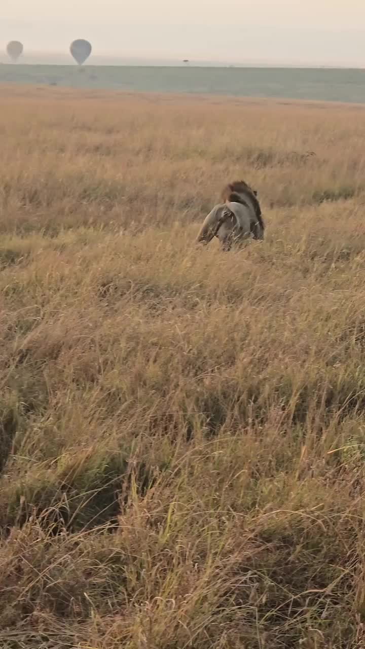 @Албена Граминова