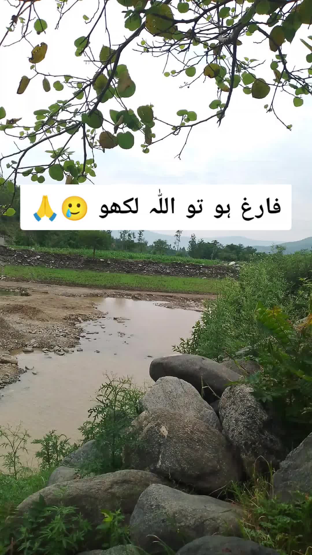 @𝗜𝗦𝗟𝗔𝗠𝗜𝗖 𝗩𝗜𝗕𝗘𝗦 ✅