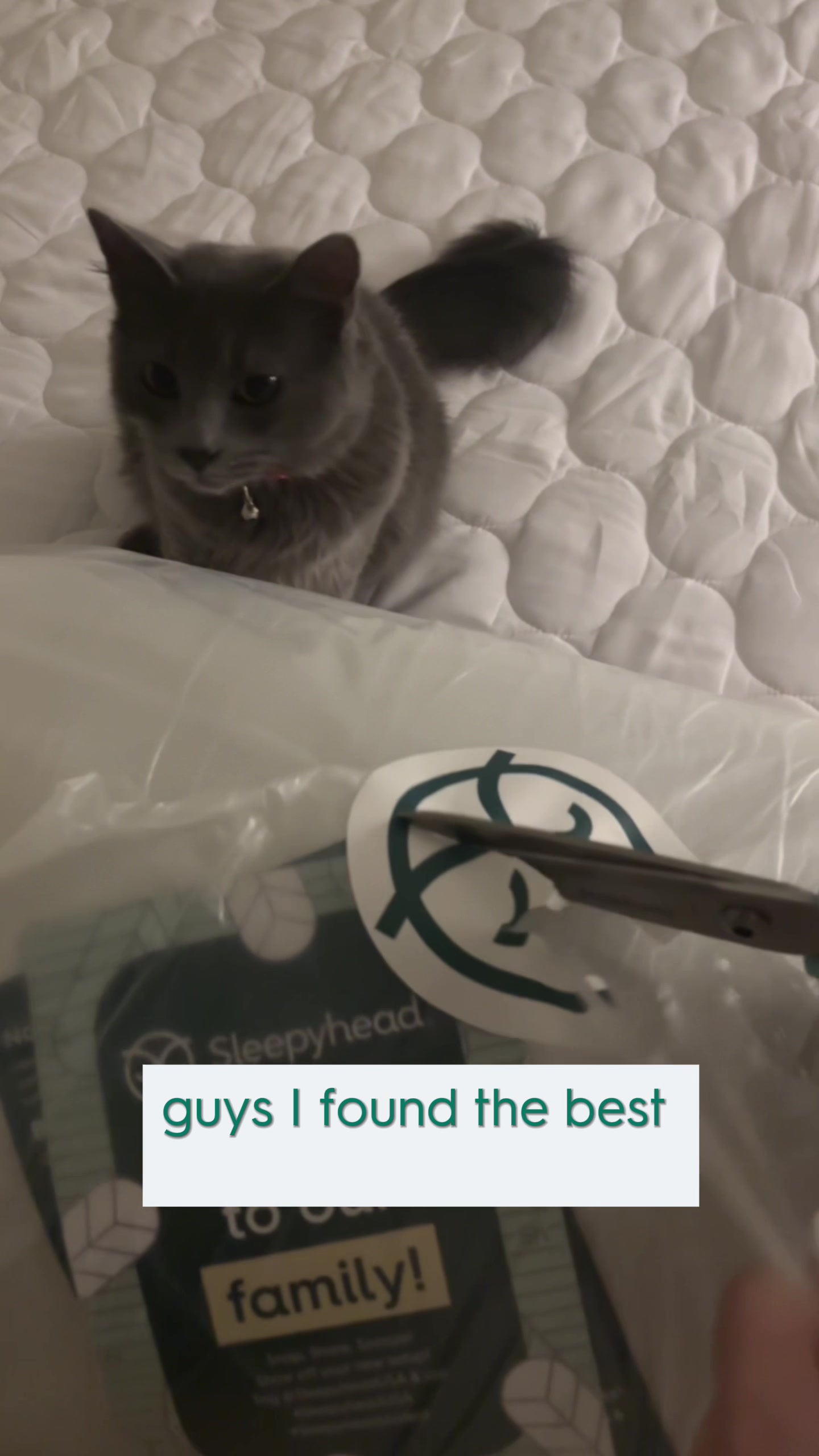 @SleepyheadUSA