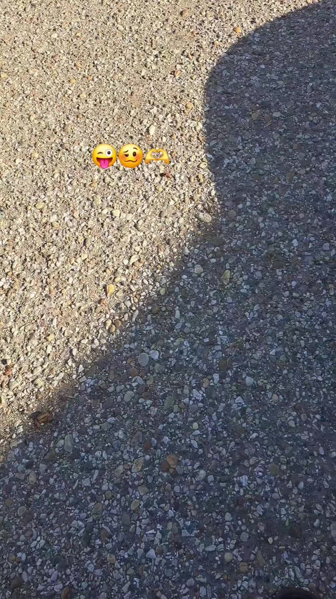 @👑Picisárika👑