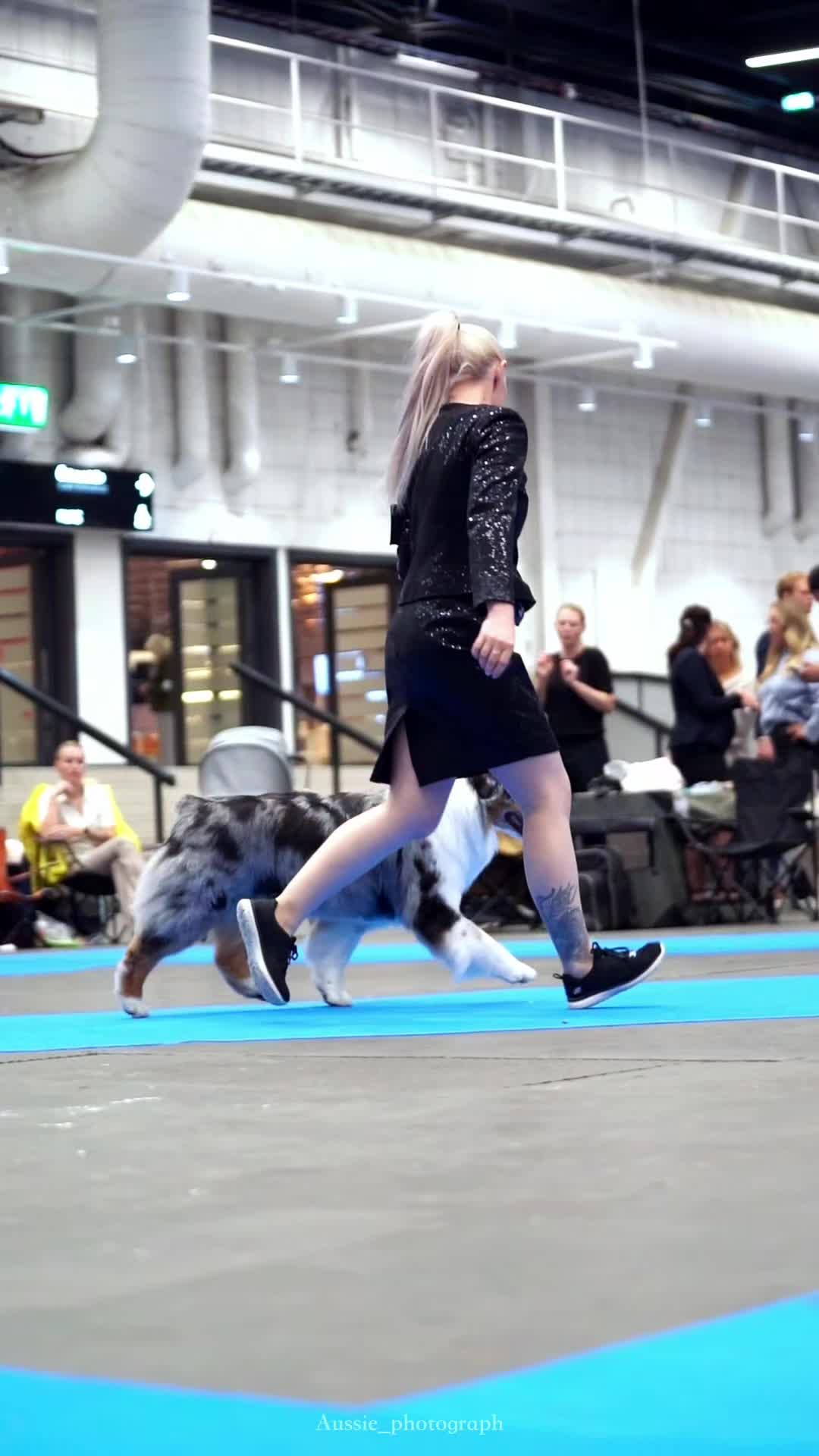 @Aussie_Photograph