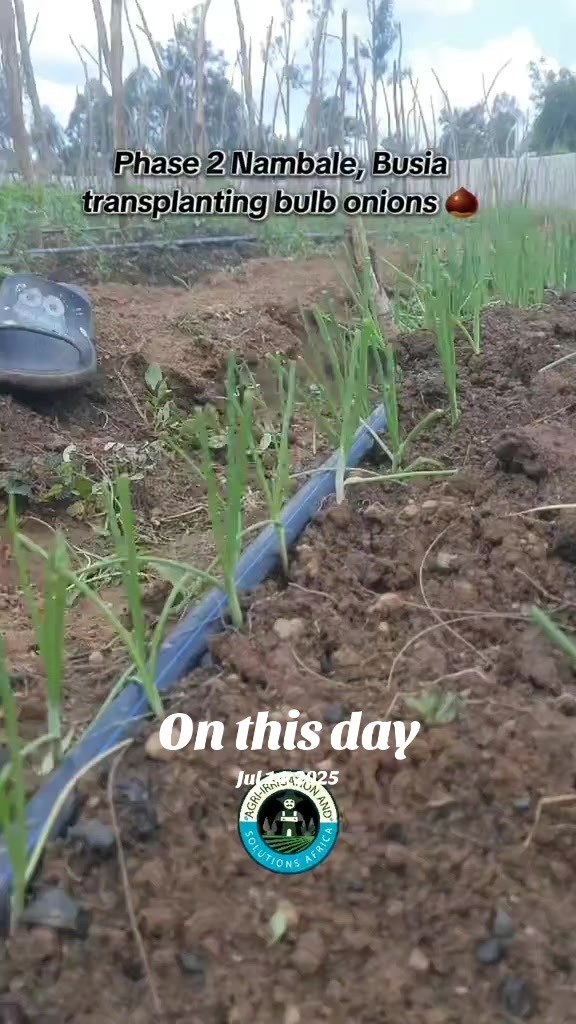 @Agri-Irrigation Africa Limited
