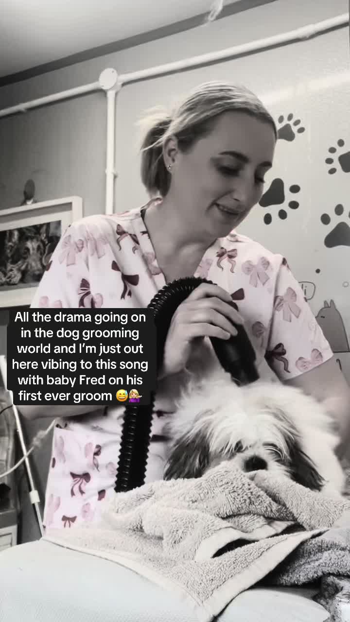 @Shampooches