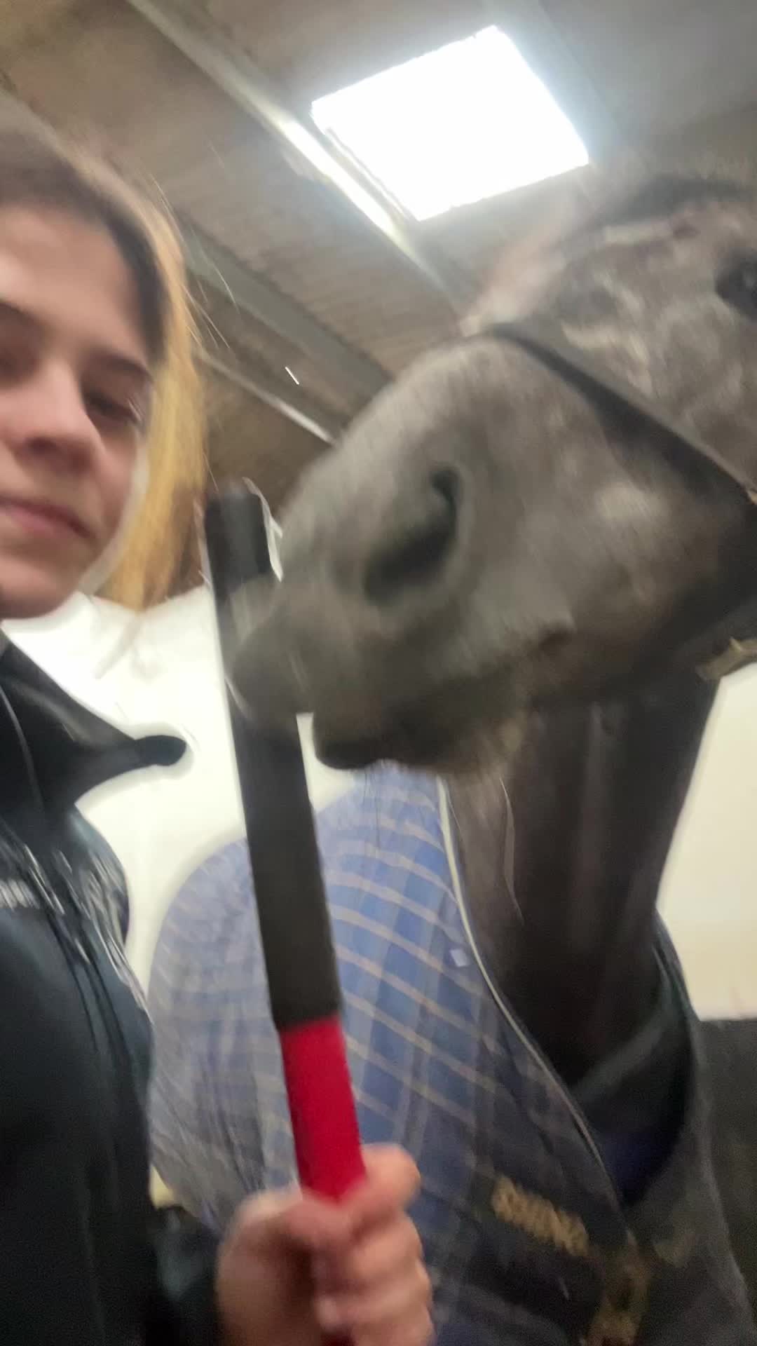 @julia 🏇🏻