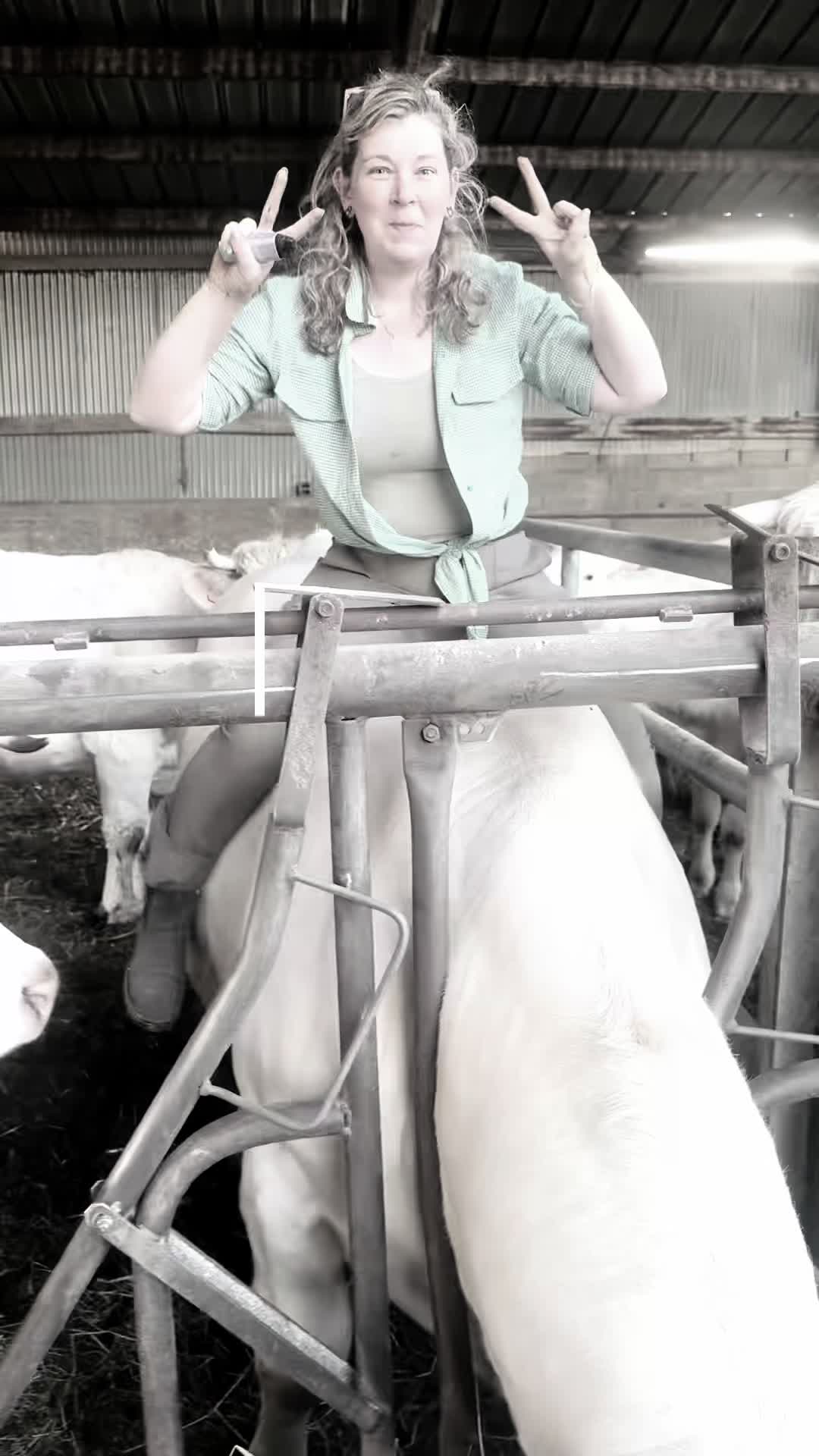 @ᏦᎥᎥᏦᏗᏗ 🌾🚜🐮