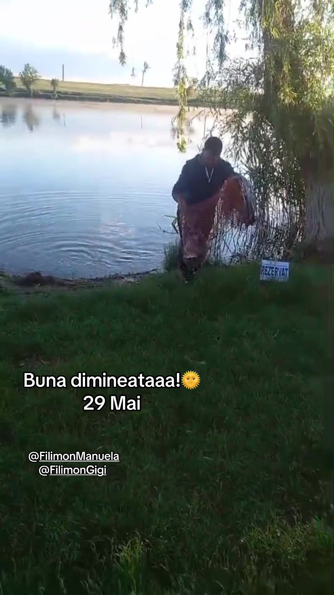 @Balta Sultan -Calarasi