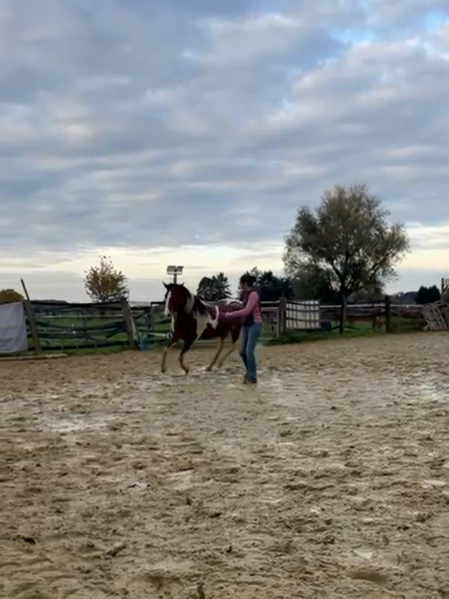 @~ Pearl Hart Ranch ~